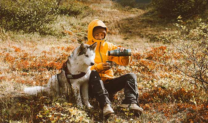 hond mee met hardlopen